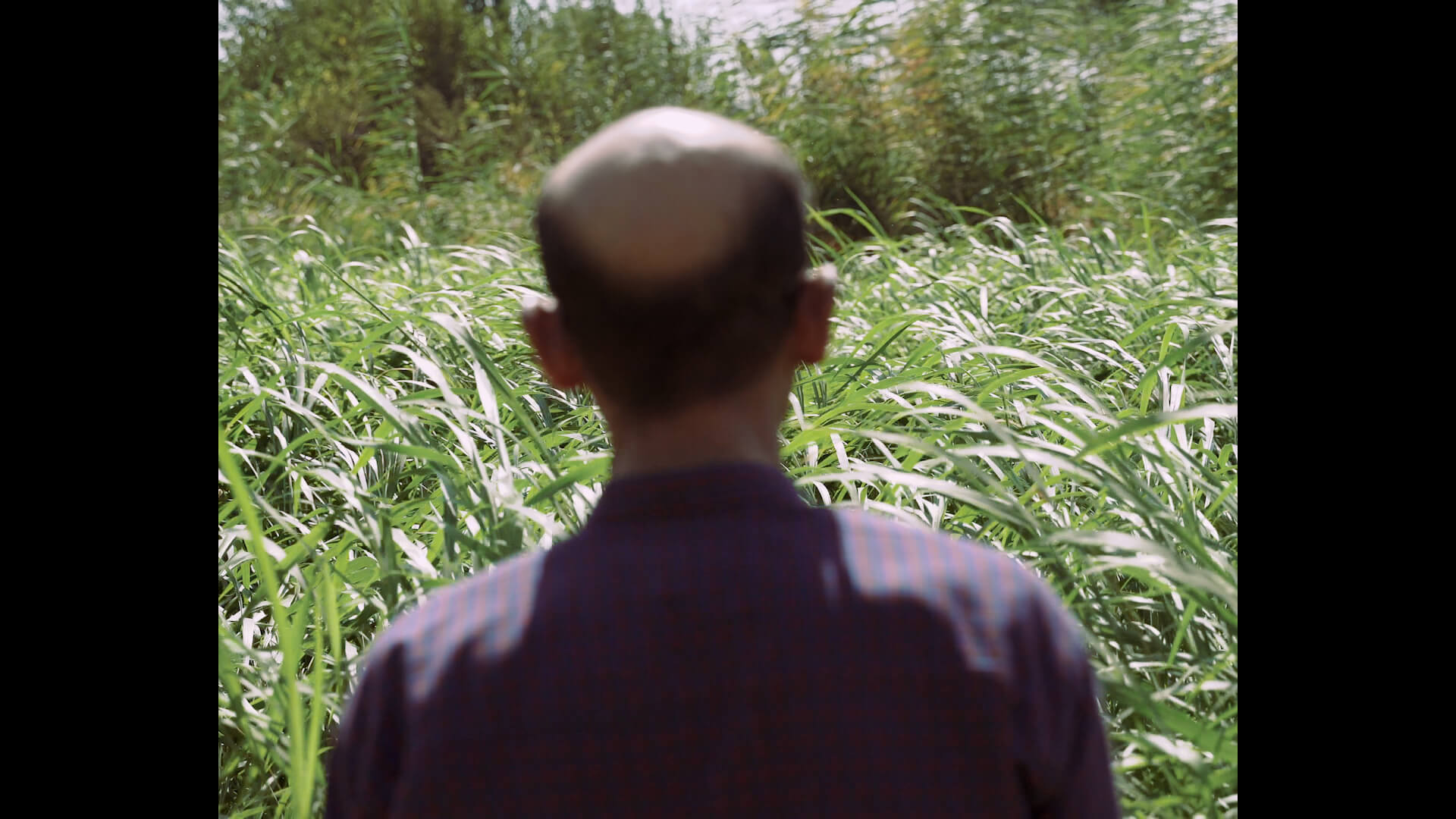 Message from Anonymous