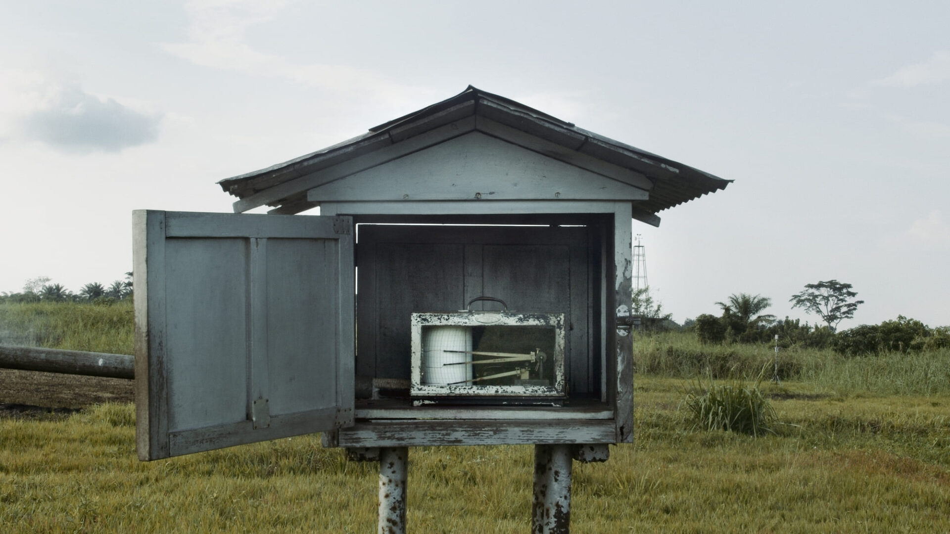 The Tree of Authenticity