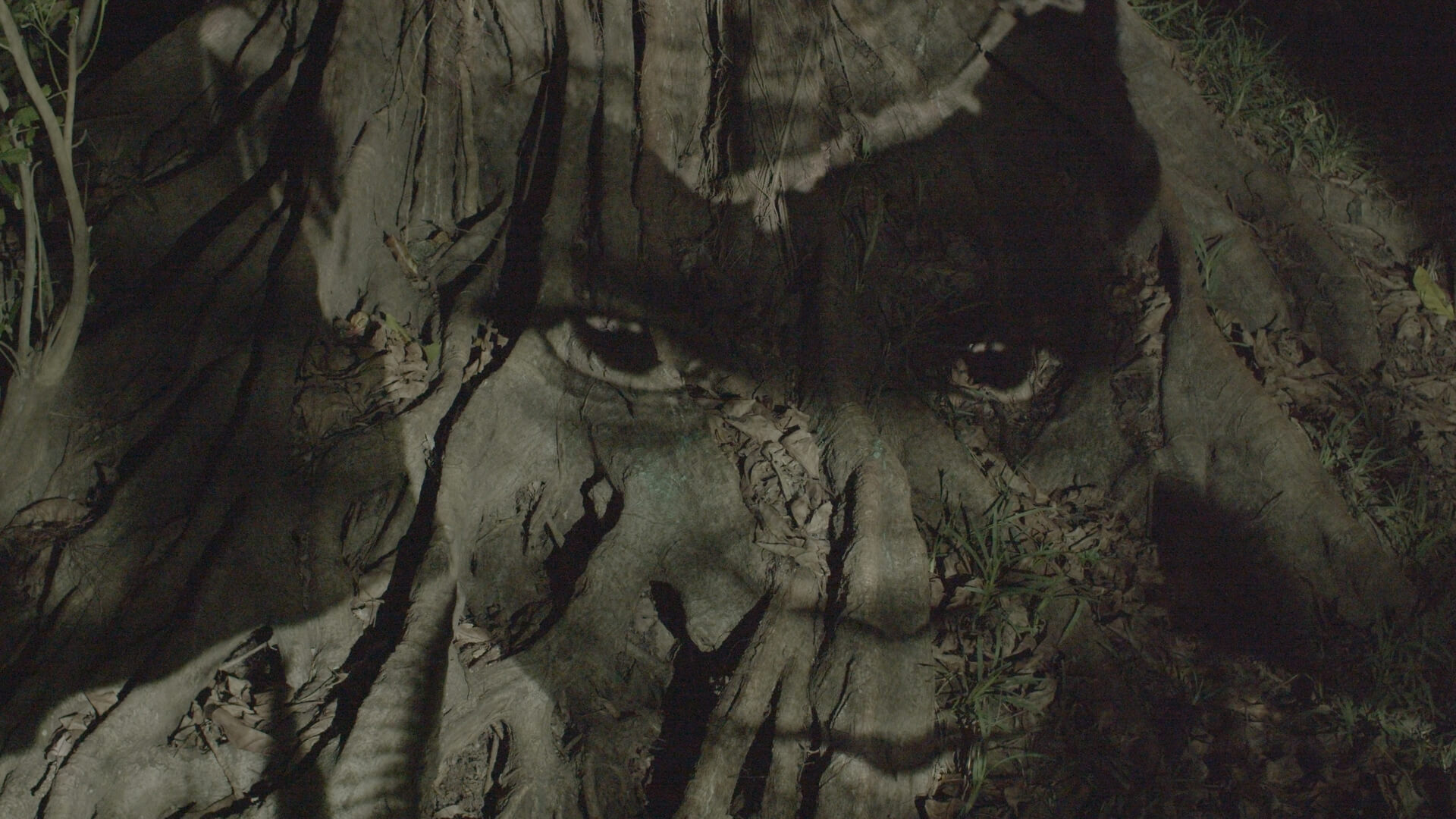 Dreams of a Revolution